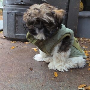 Meet your Posher, A.g.